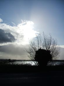 The nearby Somerset Levels