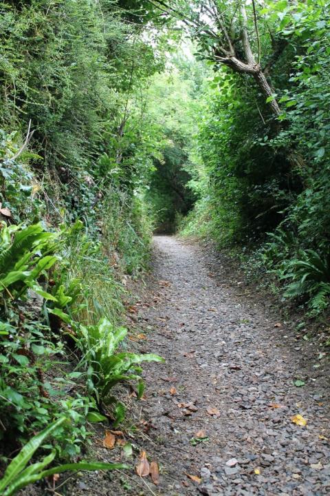 Fanny Brooks Lane improved by Ron Down