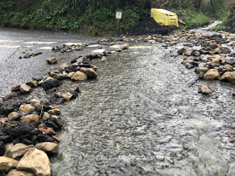 Runoff from Fanny Brooks Lane