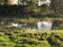 Floods November 2021 - The marshy corner of Gollop's Ground