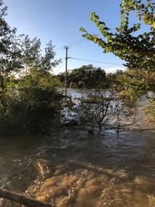 Floods November 2021 - From Smith's Bridge