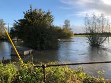 Floods November 2021 - Submerged Alpacca / Sheep shelter 