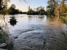 Floods November 2021 - Flushing meadow  at Mill Farm